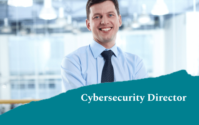 Cybersecurity Director