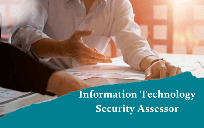 Information Technology Security Assessor