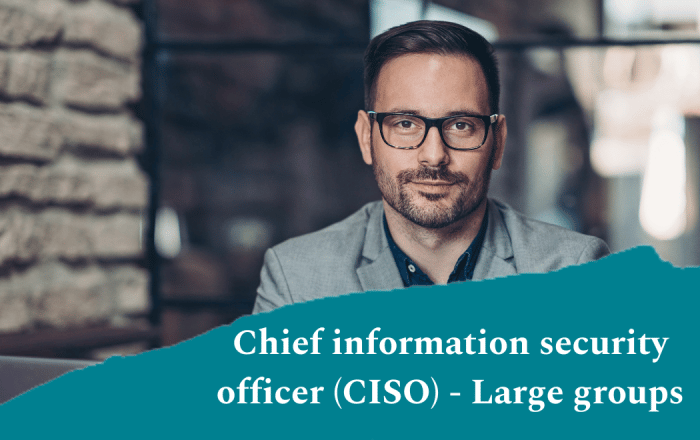 Chief information security officer (CISO) - Large groups