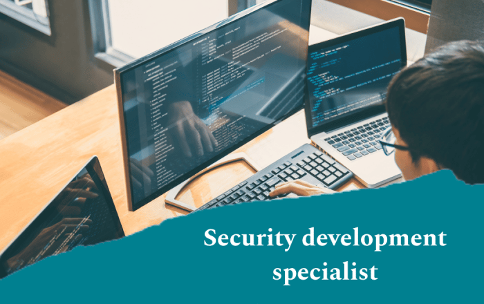 Security development specialist