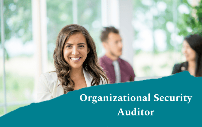 Organizational Security Auditor