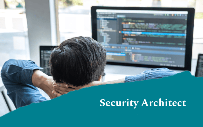 Security Architect