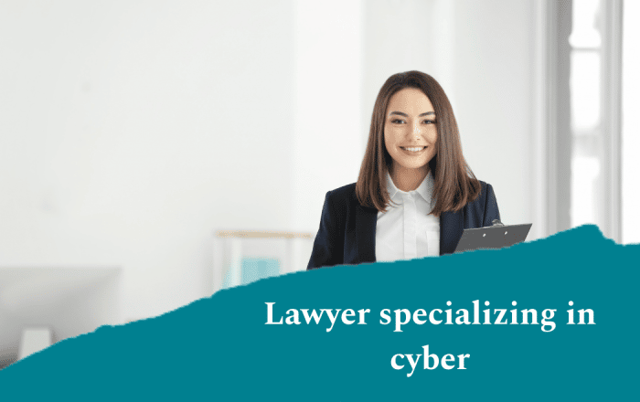 Lawyer specializing in cyber