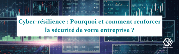 Cyber-résilience