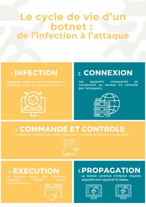 Fonctionnement d’un botnet