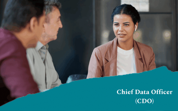 Chief Data Officer (CDO)