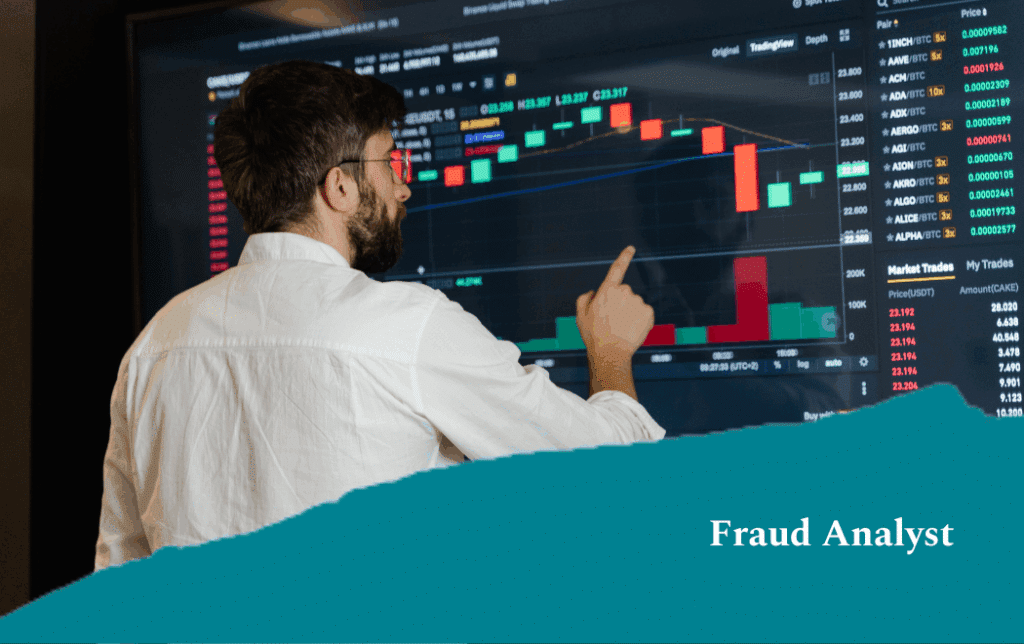 Fraud Analyst