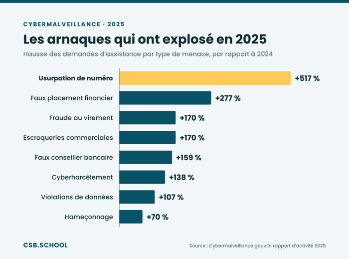 cybermalveillance-2025-hausses