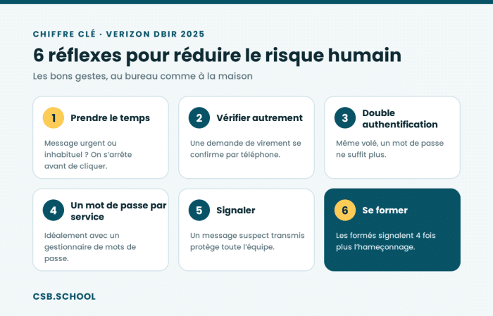 facteur-humain-reflexes